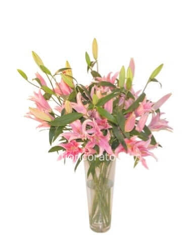 Lilly- Mazzo di lilium colore rosa.