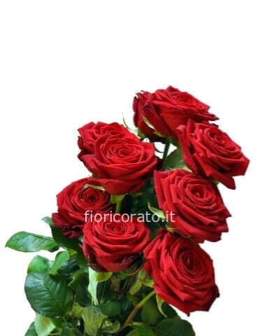 Long Elegant- Rose rosse da comporre in mazzo per numero di steli.