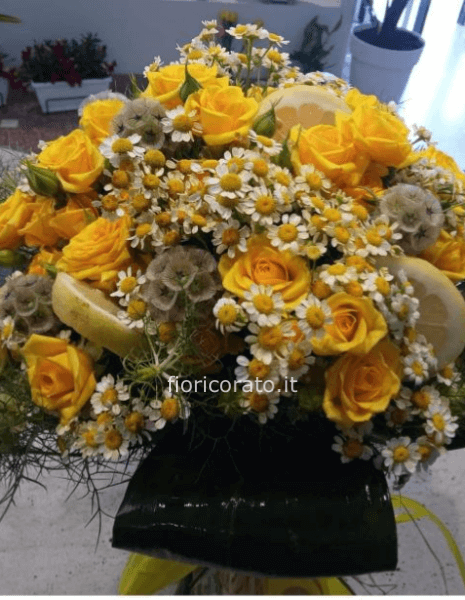 chamomile yellow