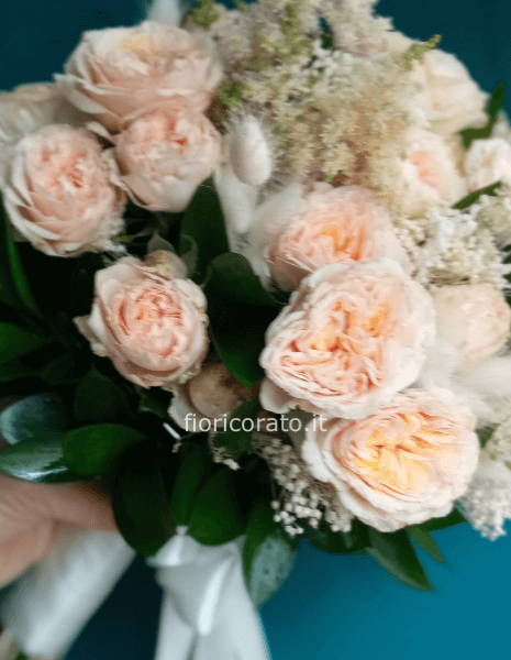 ENGLISH ROSES