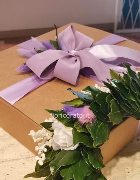 corona laurea wisteria